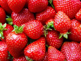 Background with bright red strawberries. Ripe summer berries.