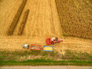 Fototapeta na wymiar Combine working on the corn field