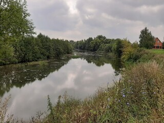 summer landscape with lake