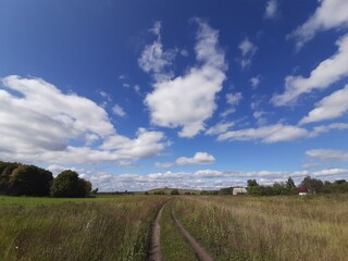 Fototapeta na wymiar rural landscape with a road