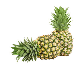 Fototapeta premium Pineapple isolated on white background with clipping path