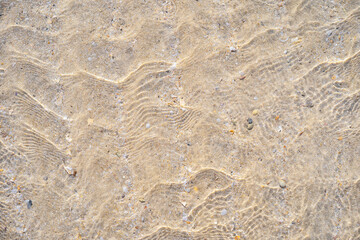 Copy space of sand beach texture abstract background.