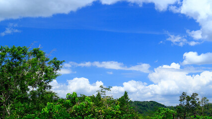 Obraz premium susana in the forest with blue sky