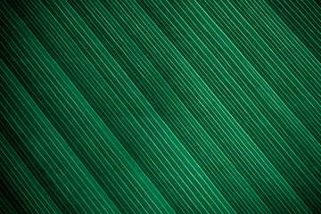 Tropical palm banana leaf, dark green plant texture background