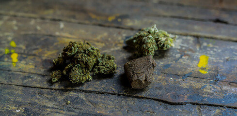 Closeup of different species of cannabis sativa and indica, thc and cbd. Medicinal herb.