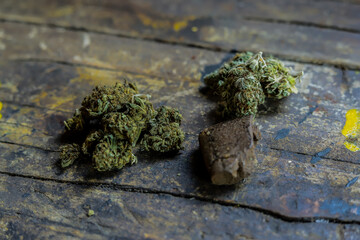 Closeup of different species of cannabis sativa and indica, thc and cbd. Medicinal herb.