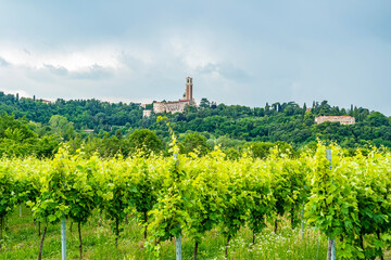 Fototapeta na wymiar View on the sanctuary of the Madonna di Monte Berico, Vicenza - Italy
