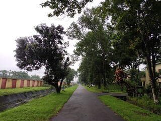 path in the park