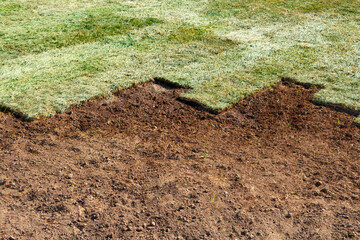 Laying rolled grass on prepared soil.