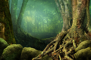 Landscape with fantasy forest, old trees, weird roots and mossy rocks on hazy green background