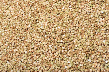 food background of green buckwheat