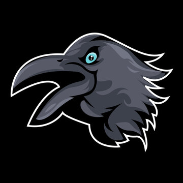 illustration of crow head, crow mascot logo