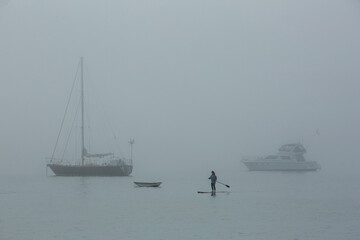 Stand Up Paddle or SUP board surf in the fog at Akaroa harbor, Akaroa, New Zealand.