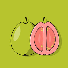 vector illustration of guava fruit, flat design