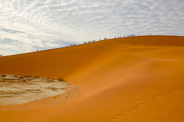 Big Daddy sand dune in the Nambian desert