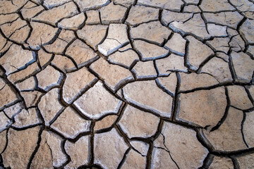 Cracked soil texture for background.
