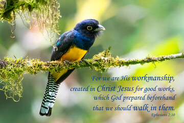 Inspirational, encouraging and uplifting Bible Verses printed on beautiful bird photography.