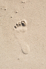 Fototapeta na wymiar Foot prints on beach