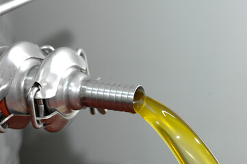 extraction of organic extra virgin oil after pressing the freshly picked olives