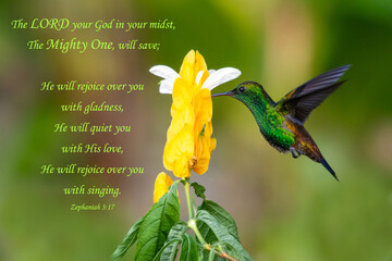 Inspirational, encouraging and uplifting Bible Verses printed on beautiful bird photography.