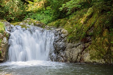 Obraz premium 滝の流れ