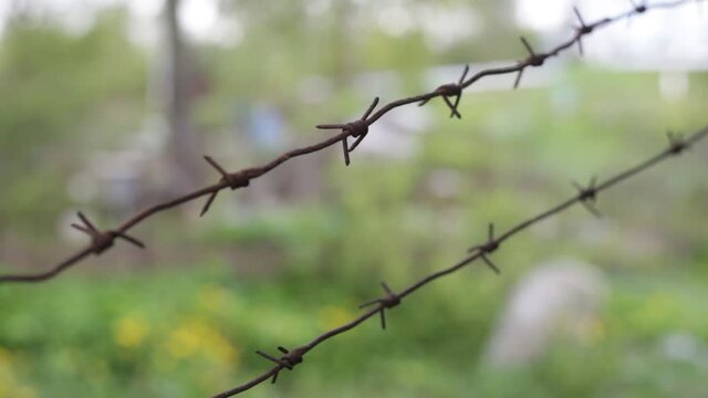 The barbed wire is taut for protection. Protection against thieves. Dangerous product with prickly spikes. The place of the military border is covered with wire with needles.