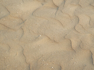 Sand texture. Sandy beach for background. Top view
