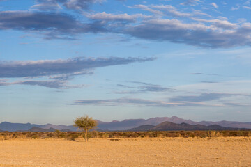 Fototapeta na wymiar Namibia landscape flat