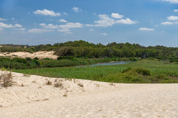 Fototapeta na wymiar View of the Sorek River surrounded by green trees and bushes and white sand dunes
