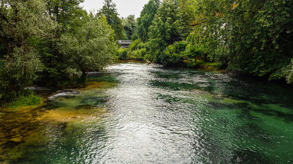 Stream in the forest.