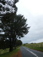 road in the countryside