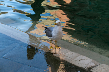 Fototapete bei efototapeten.de bestellen   