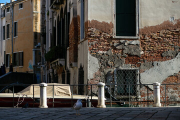 horizontal photo of old peeling brick buildings standing along the venetian canal