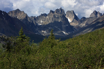 Tombstone Provincial Park Yukon Territory Canada