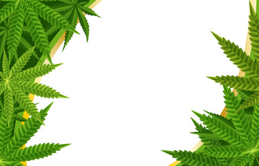 Background from green leaves of cannabis, design for advertising, vector template.