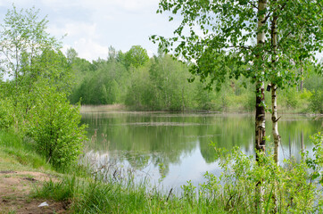 Fototapeta premium lake in the forest