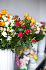 bush bouquet of roses. white, orange and red flowers close-up
