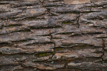 Horizontal wooden texture