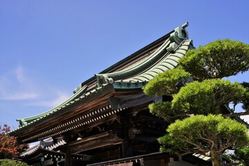 japanese garden gate