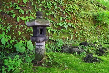 Japanese garden with stone lantern, pond, Hasu leaves and pine tree at Hasedera temple in Kamakura Japan.