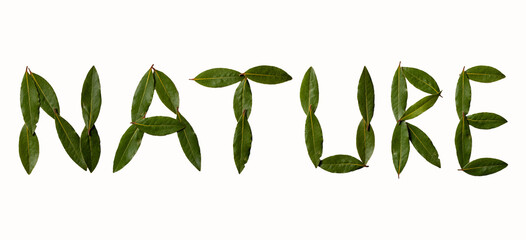 The inscription NATURE with green laurel leaves on white background.