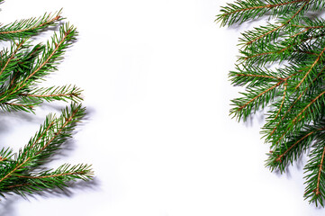 Spruce branches isolated on white background. Christmas template for your design.
