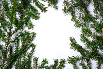 Spruce branches isolated on white background. Christmas template for your design.