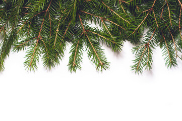 Spruce branches isolated on white background. Christmas template for your design.