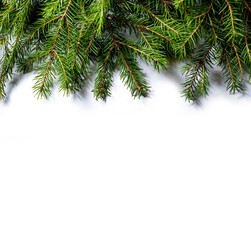 Fir branches isolated on white background. Design template for New Year and Christmas.
