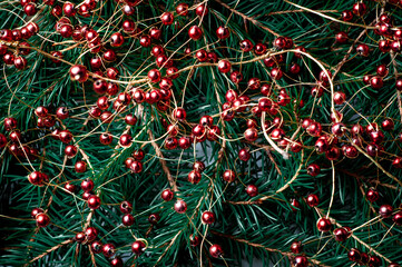 Christmas background with fir branches and red decorative balls. Design template for new year and christmas.