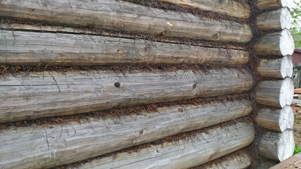 The wall of the house is made of wooden logs, extending into the distance. Tree background and texture. construction of baths and houses.