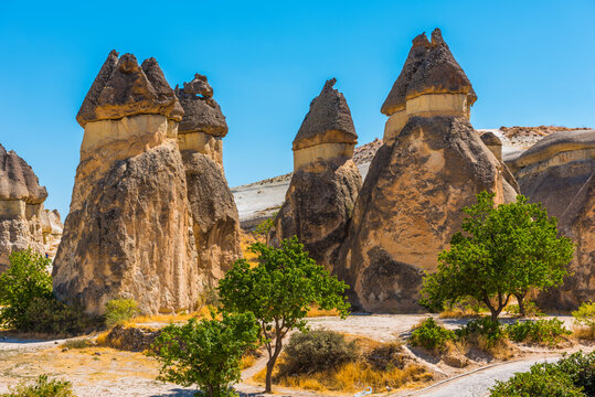 Pasabag Monks Valley with Fairy Chimneys and Mushroom Rock. Known for its mushroom shaped rocks. Cappadocia, Nevsehir, Turkey.

