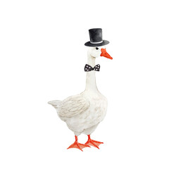 white goose bird in a black top hat with butterfly closeup, watercolor illustration © Lana