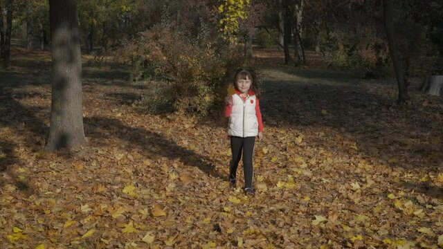 Child go for a walk in autumn. Cute little girl in the fall in nature.